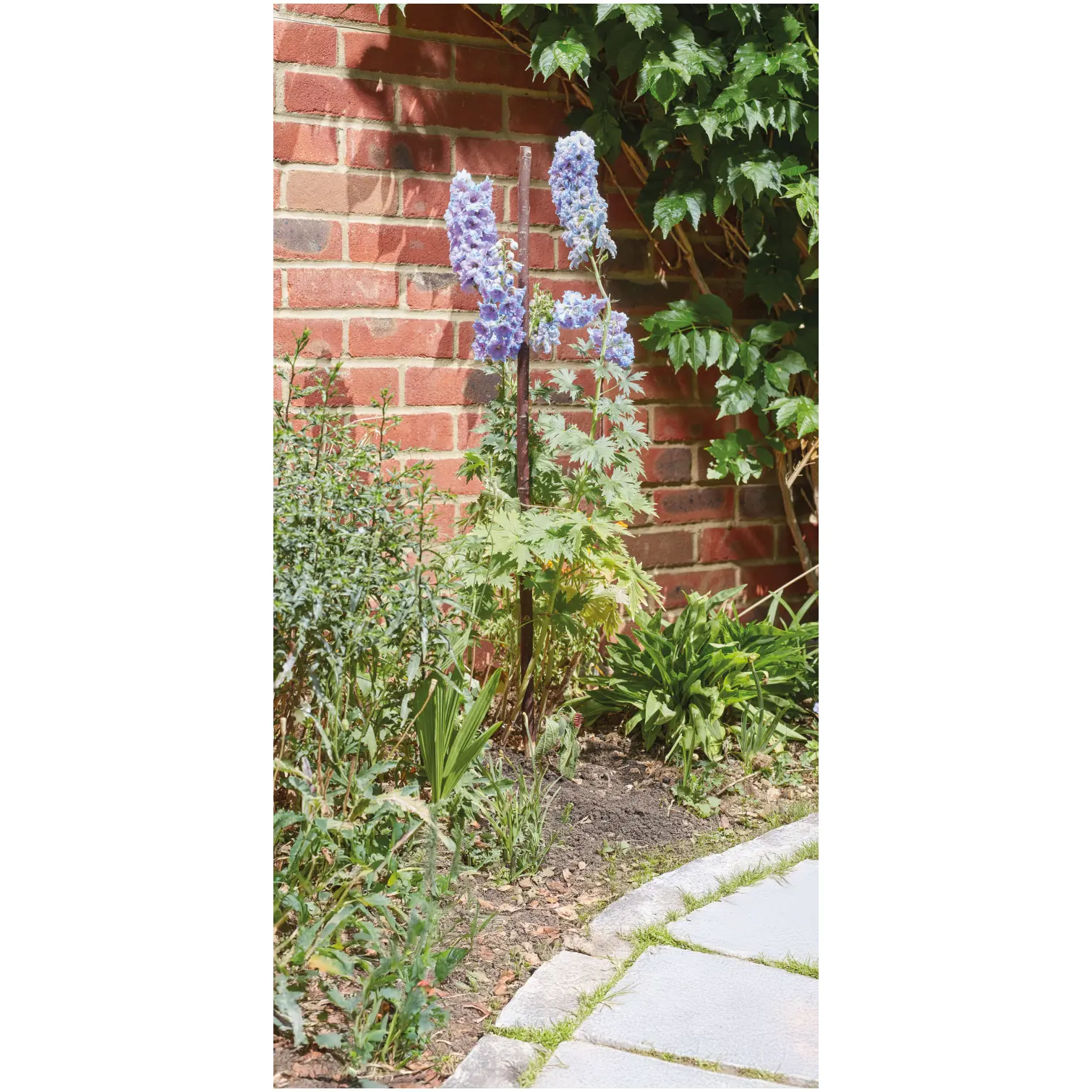 SMA0109_1 Smart Garden Willow Gro-Stakes 90cm Pack of 5