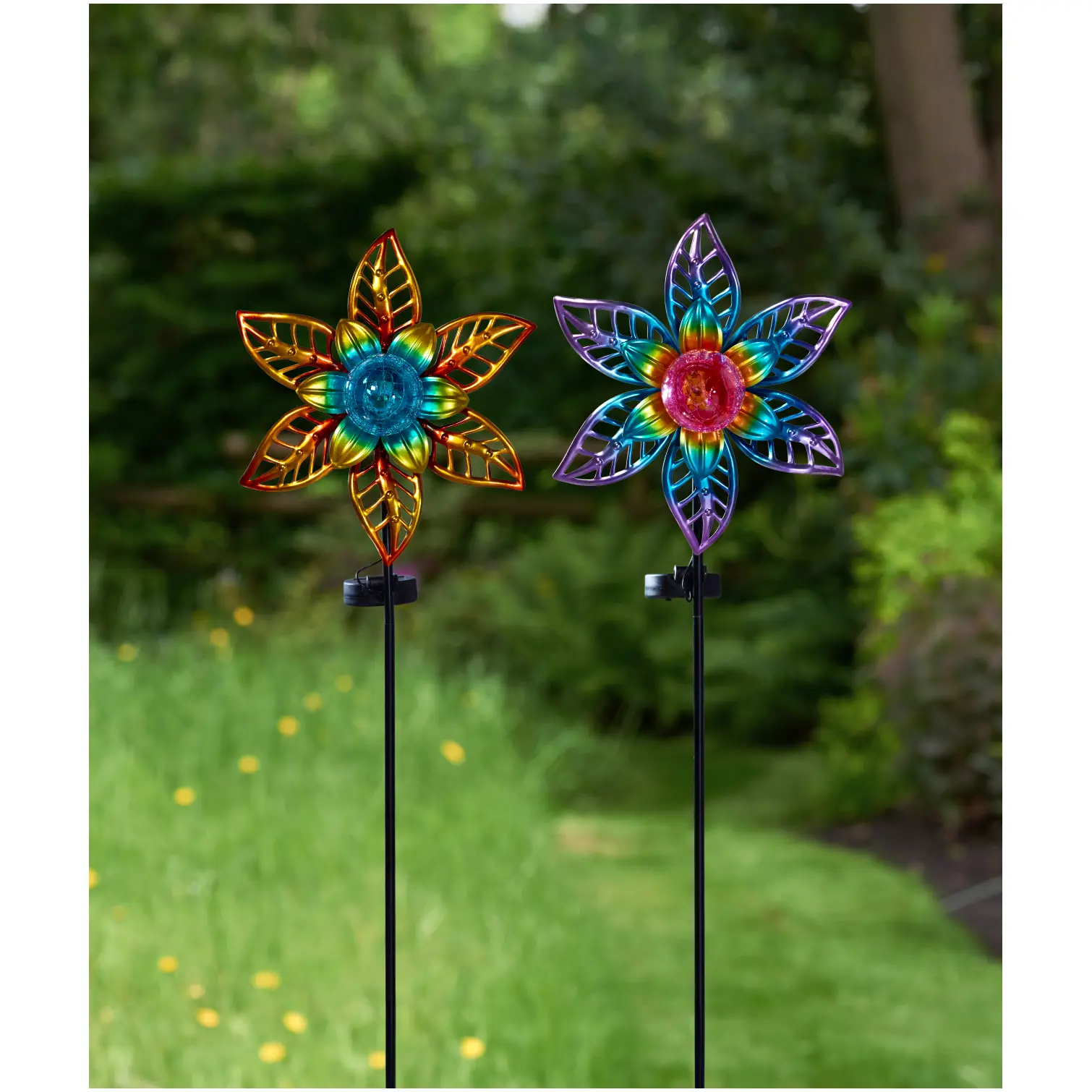 SMA0835_1 Smart Garden Flora Bloom