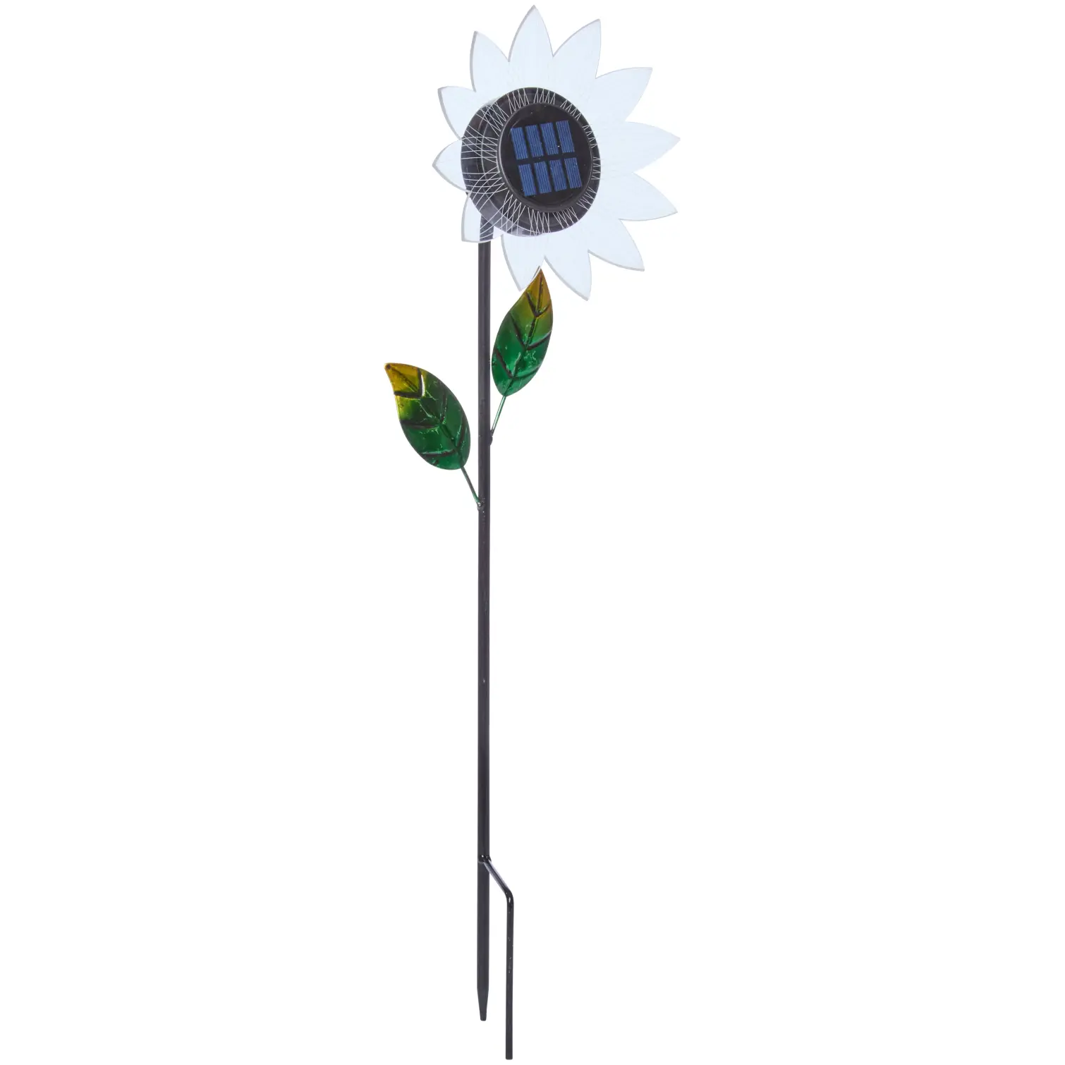 SMA0848 Smart Garden Bloom Line Asst