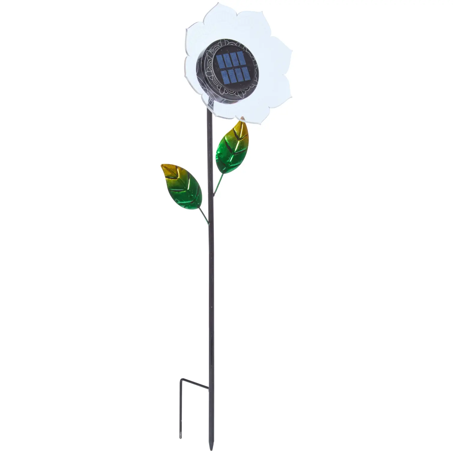 SMA0848_1 Smart Garden Bloom Line Asst
