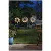 SMA0848_2 Smart Garden Bloom Line Asst
