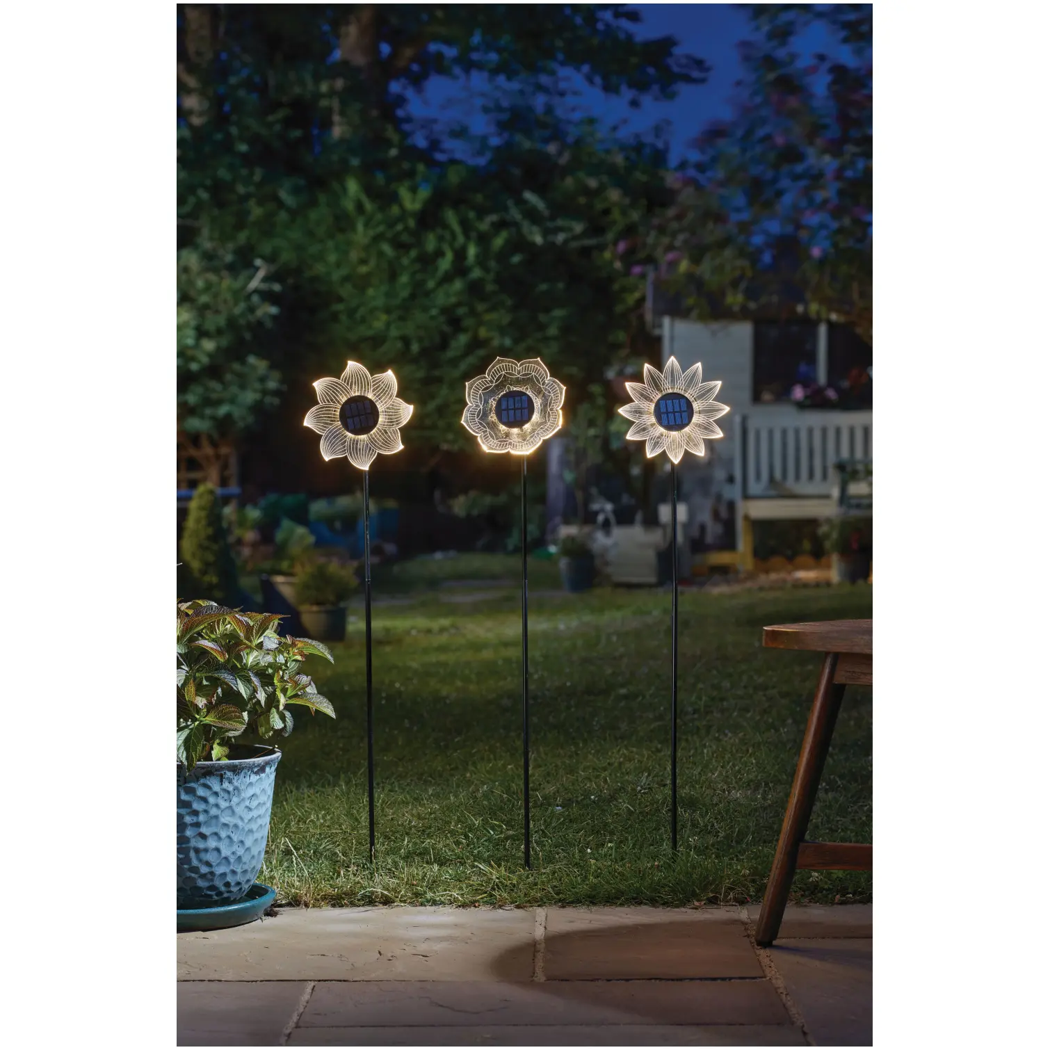 SMA0848_2 Smart Garden Bloom Line Asst