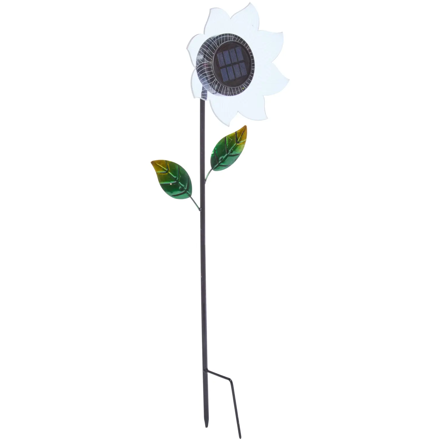 SMA0848_3 Smart Garden Bloom Line Asst