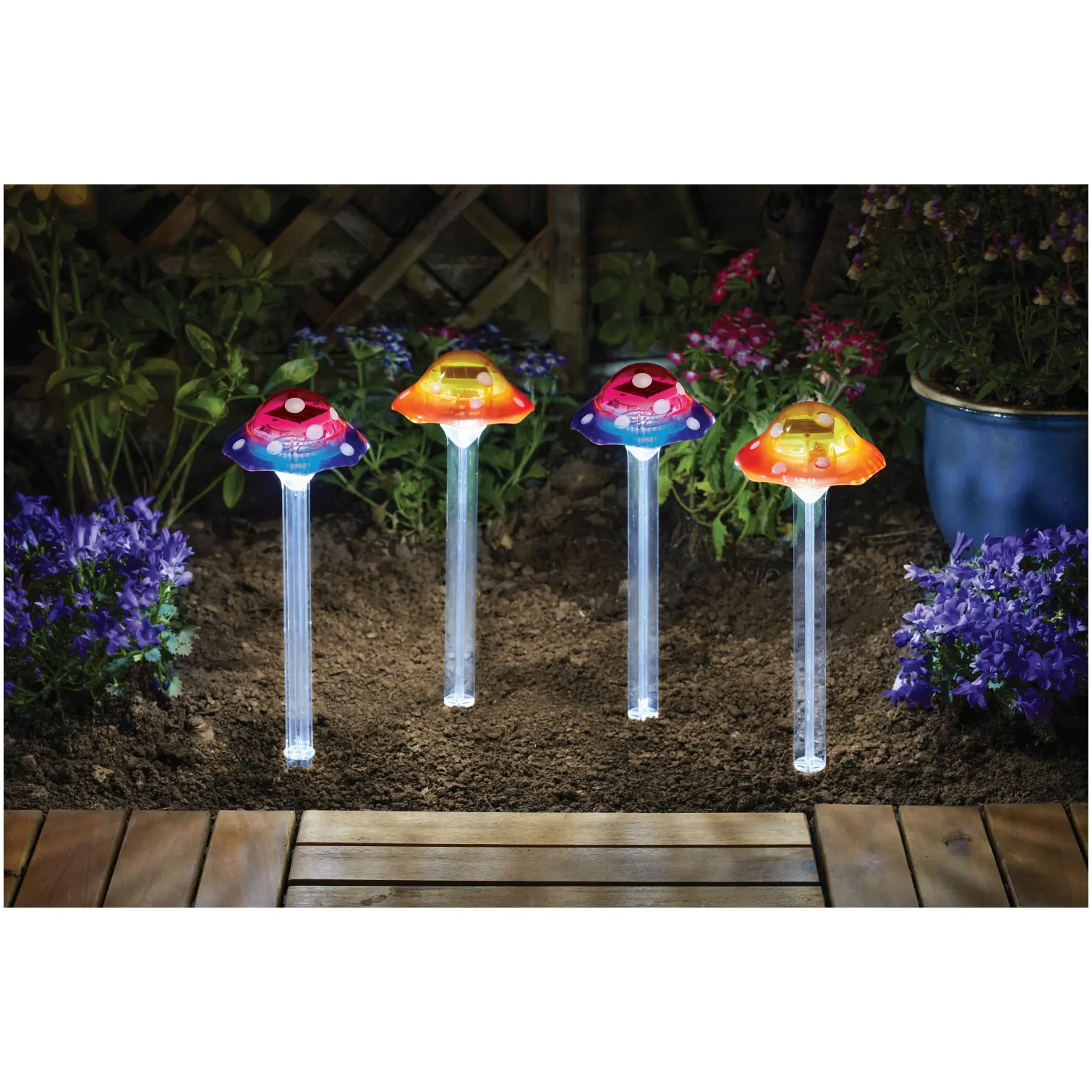Smart Garden Funky Fungus Pack of 4