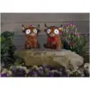 Smart Garden Bright Eyes Highlander Assorted