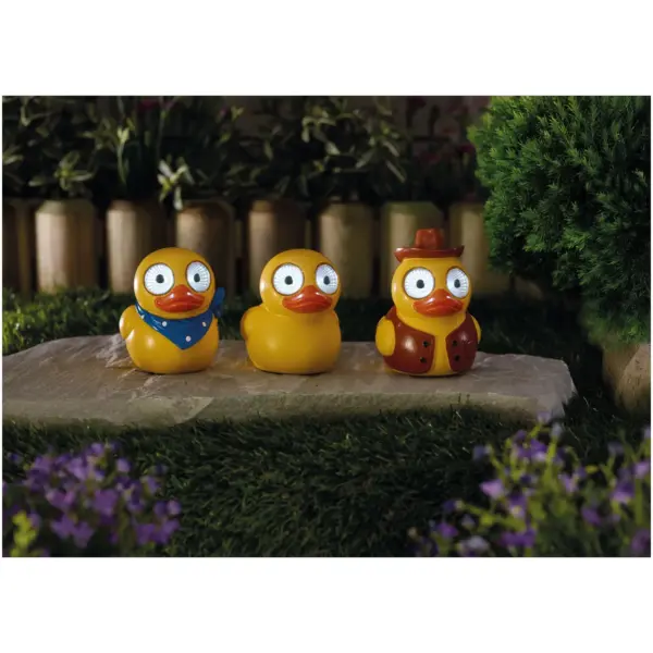 SMA0891 Smart Garden Bright Eyes Lucky Duck Assorted