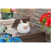 SMA0987_1 Smart Garden Lady Cluck