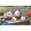 SMA0987_2 Smart Garden Lady Cluck