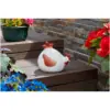 Smart Garden Lady Cluck Large