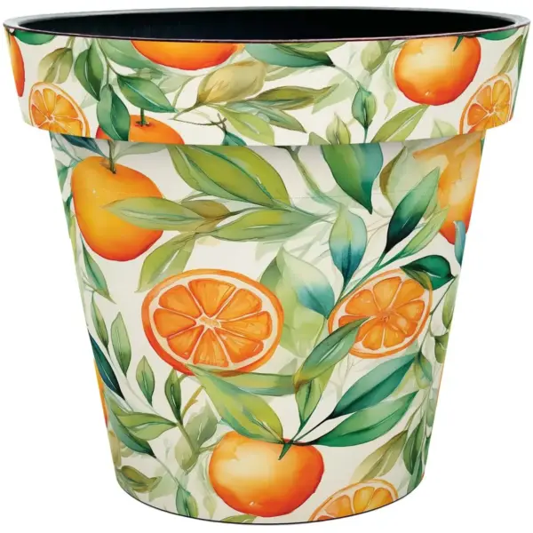 Creekwood Zest Pot Mondo 30cm