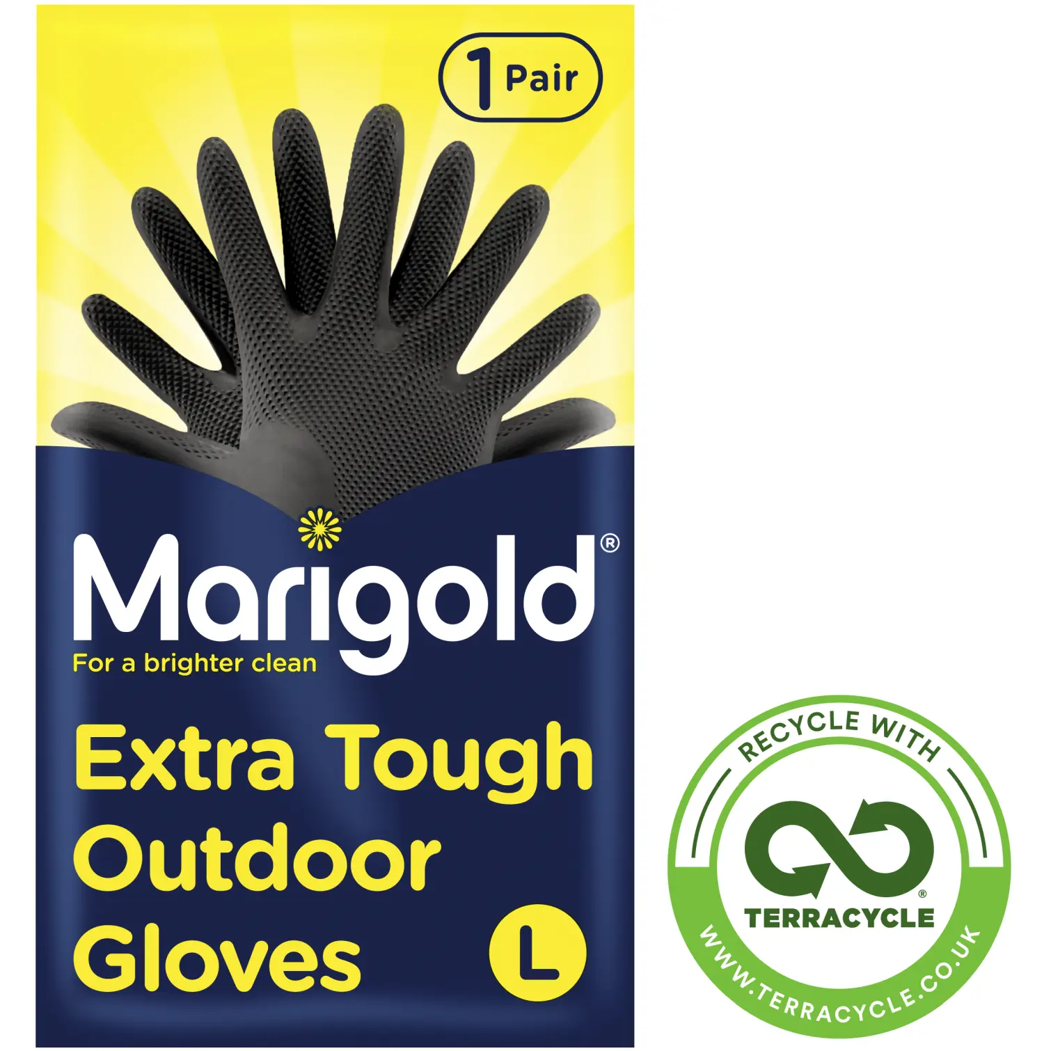 Marigold Extra Tough Outdoor Large