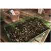 WTD0312_6 Westland Vermiculite 10ltr