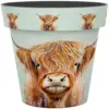 Creekwood Zest Pot Highland Cow 15cm