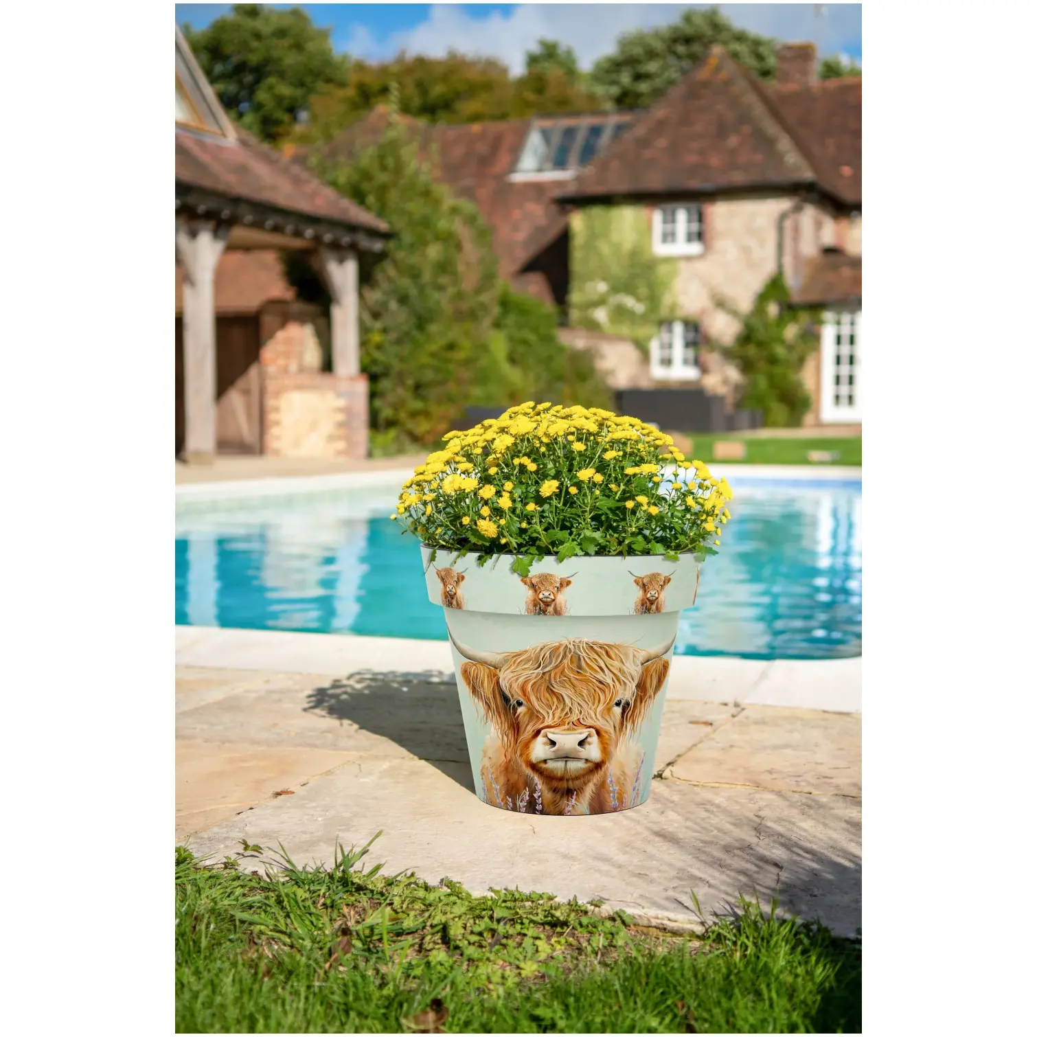 Creekwood Zest Pot Highland Cow 15cm