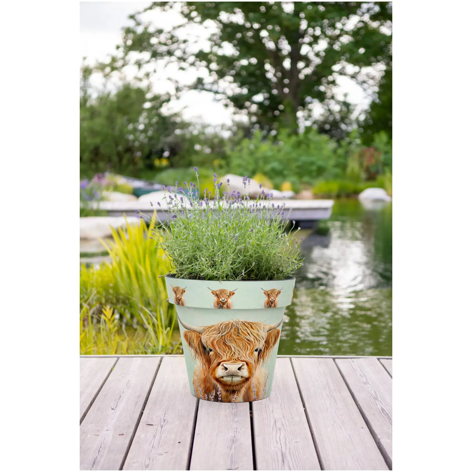 Creekwood Zest Pot Highland Cow 15cm