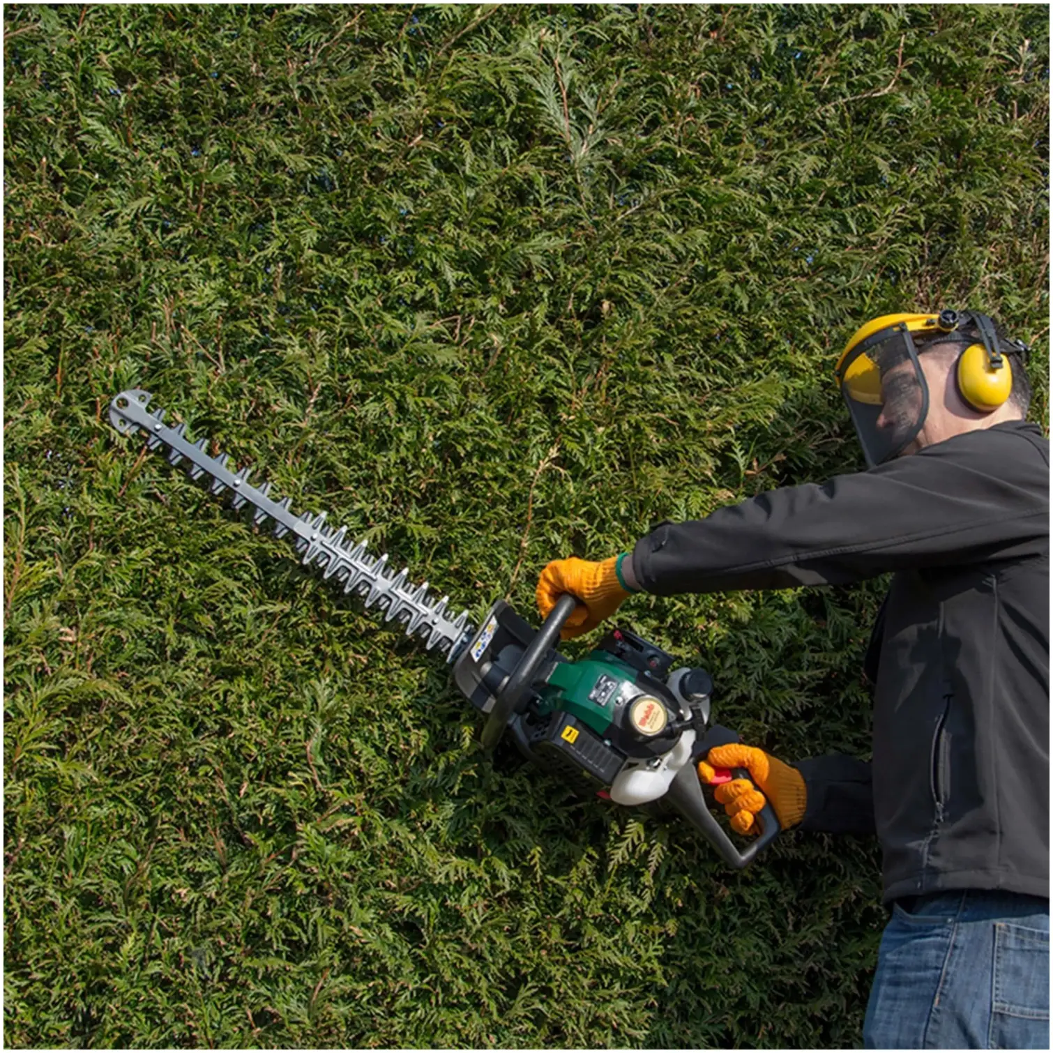 Webb Petrol HedgeTrimmer 60cm Cut