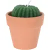 Cactus Shape Candle Assorted