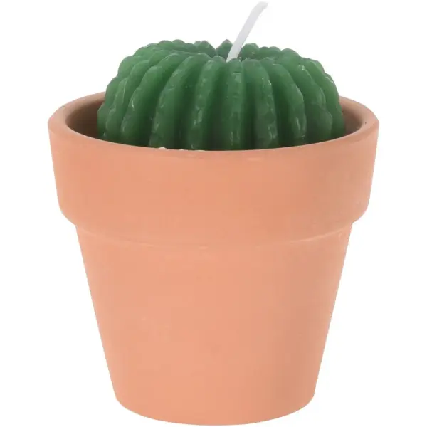 Cactus Shape Candle Assorted