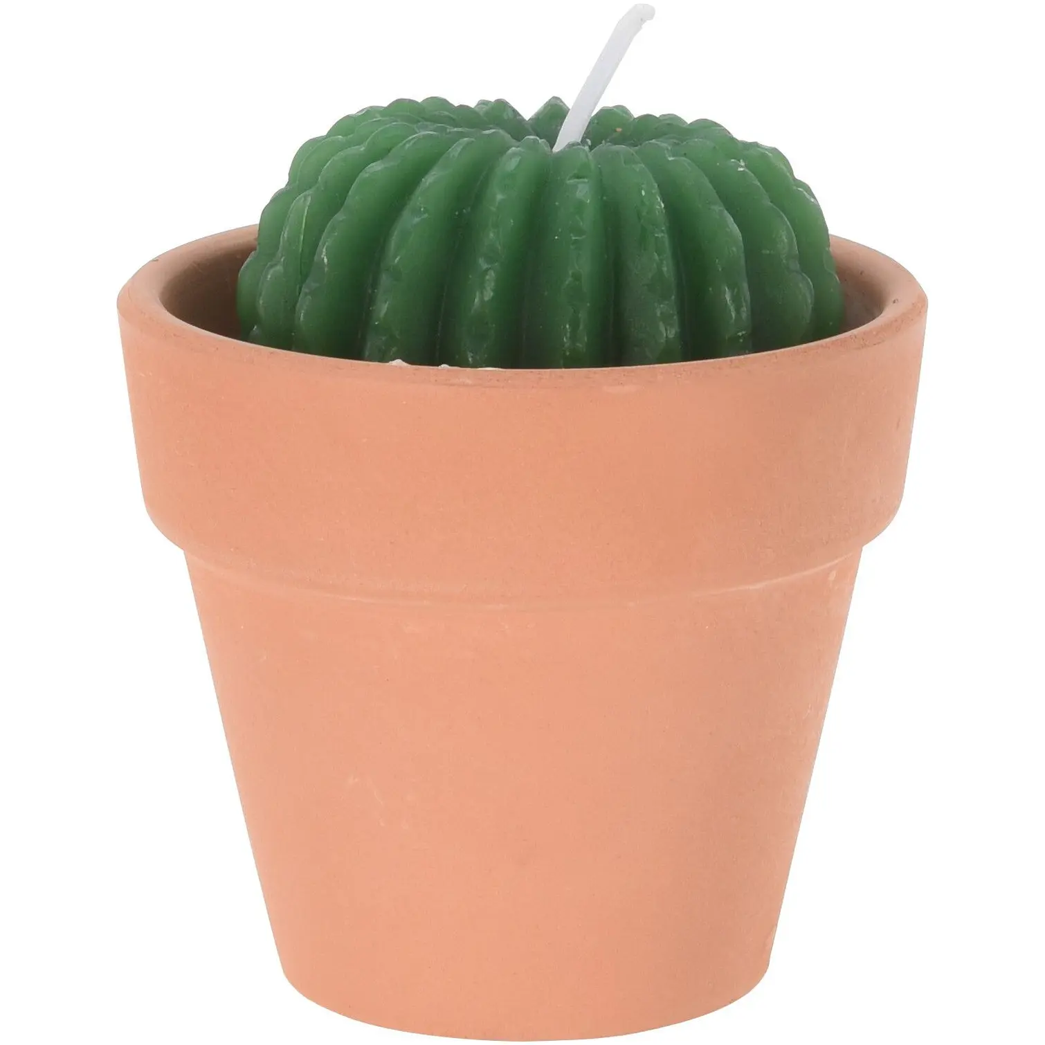 Cactus Shape Candle Assorted