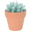 Cactus Shape Candle Assorted