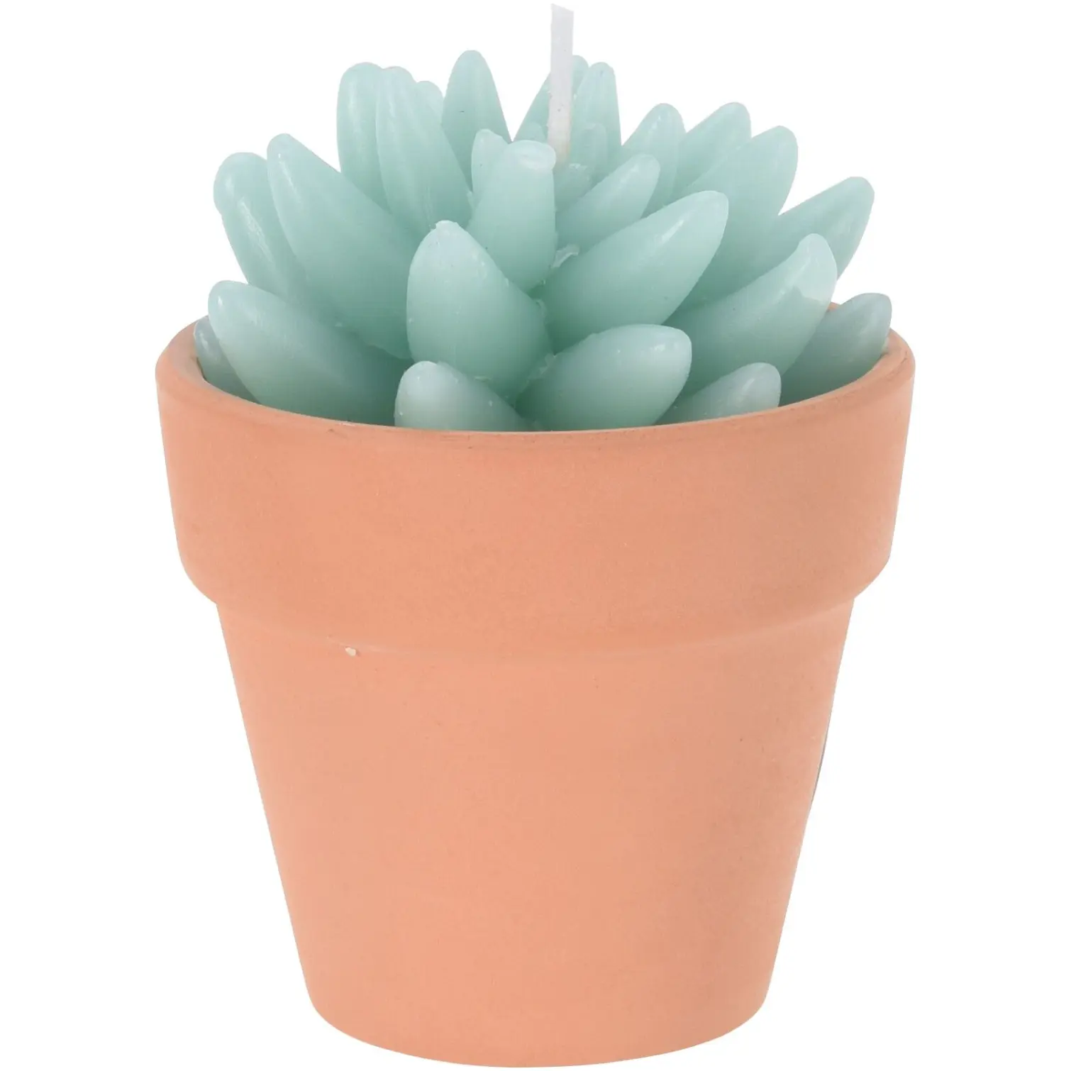 Cactus Shape Candle Assorted