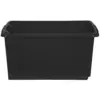 WHI0499_1 Whitefurze Large Storage Box Black