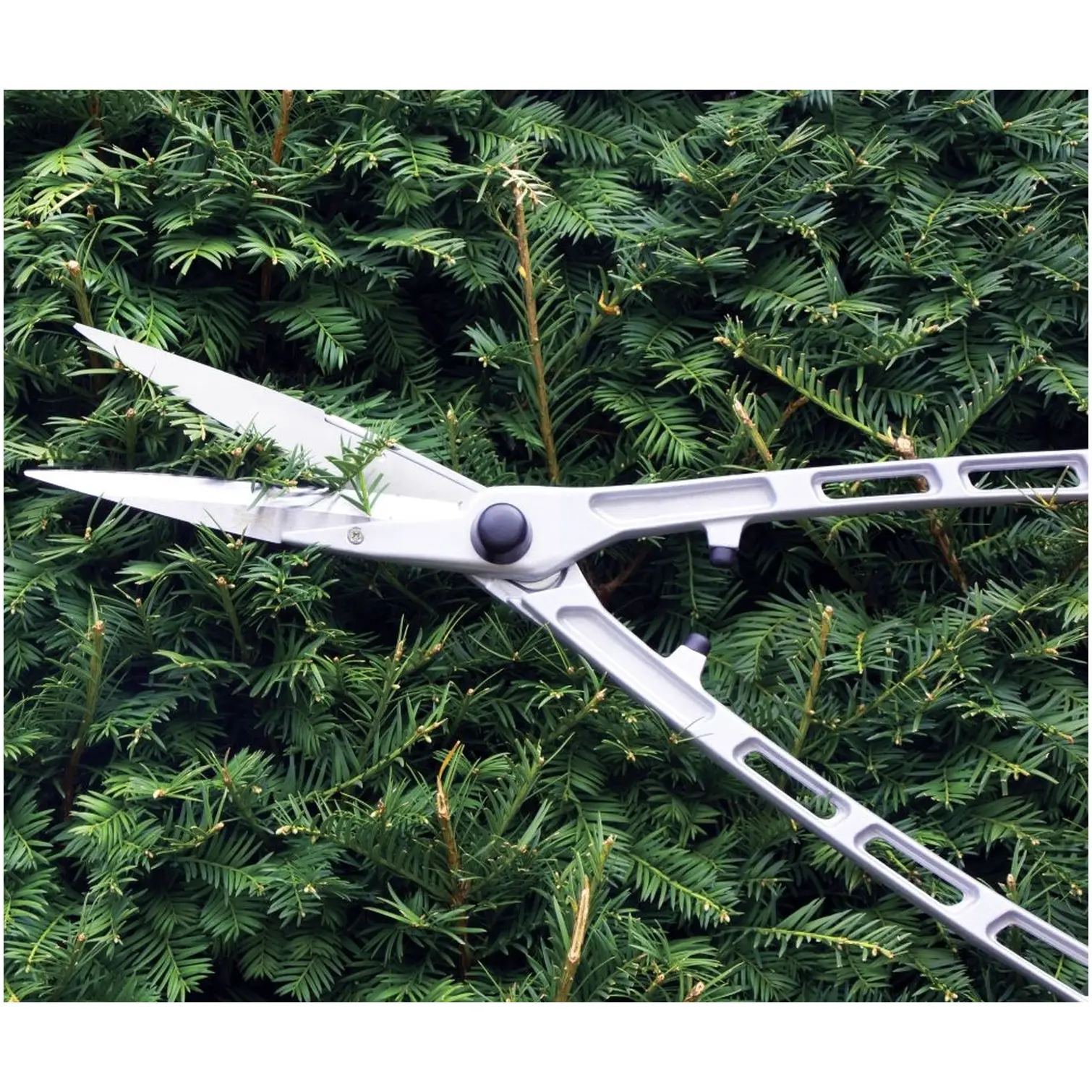 Wilkinson Sword Long Handled Hedge Shear