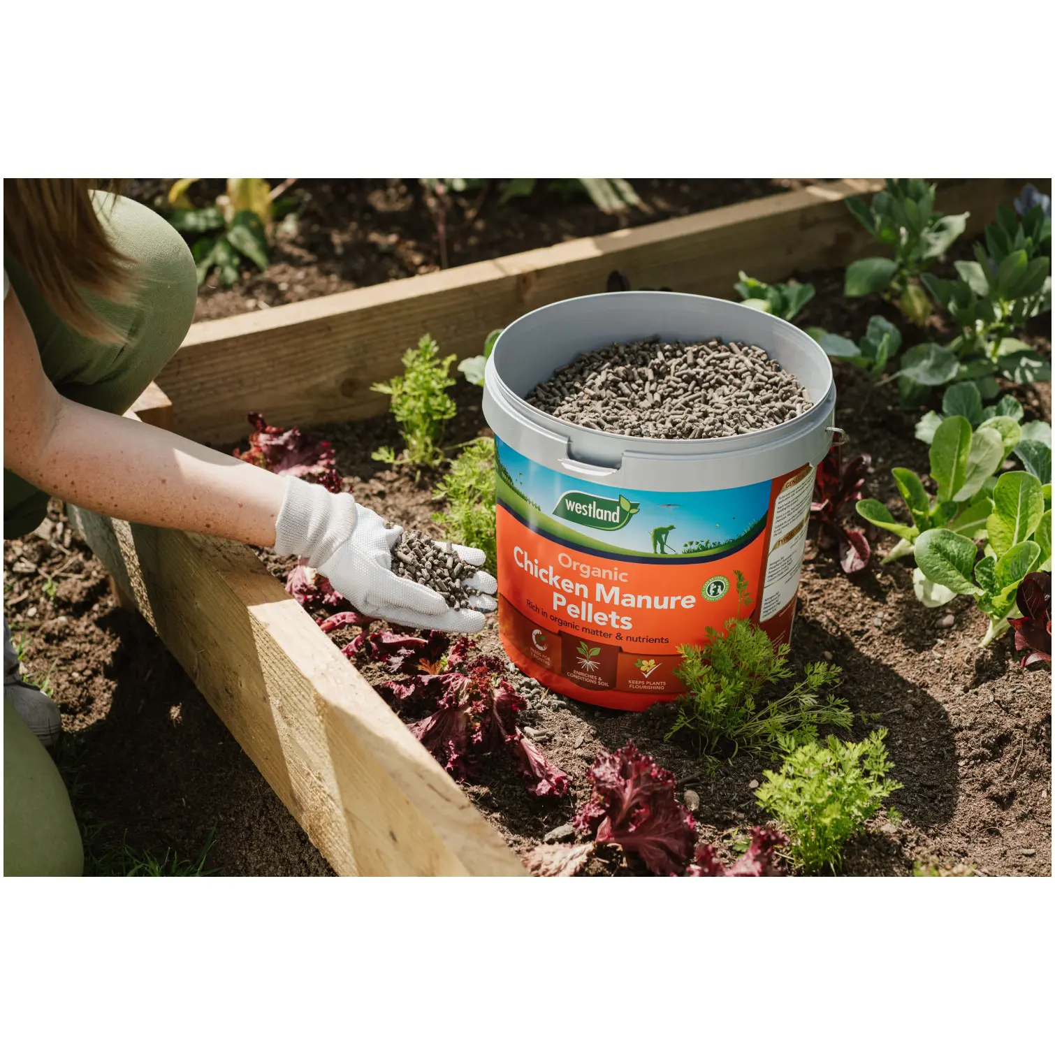 Westland Chicken Manure Pellets 8kg