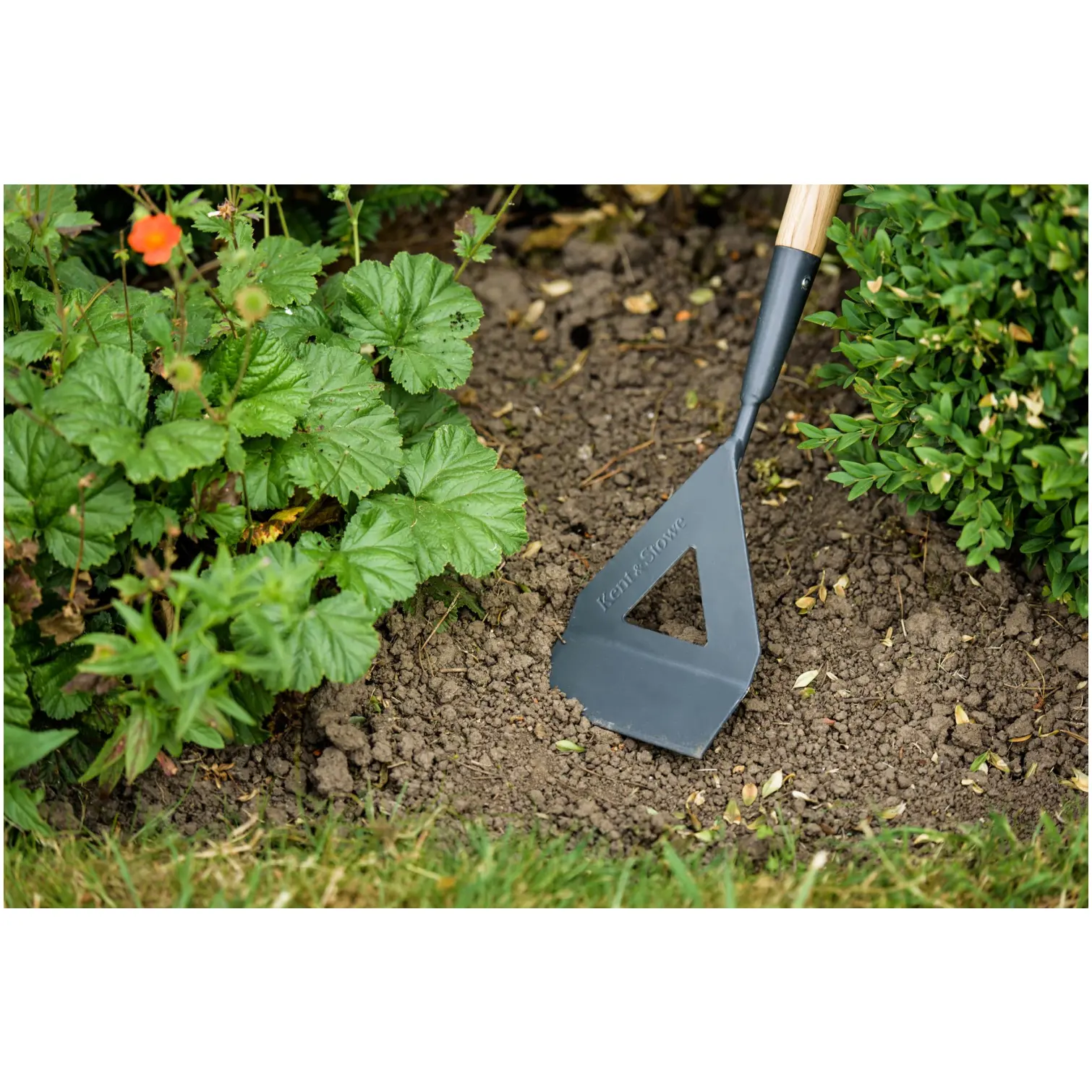 Kent & Stowe Dutch Hoe
