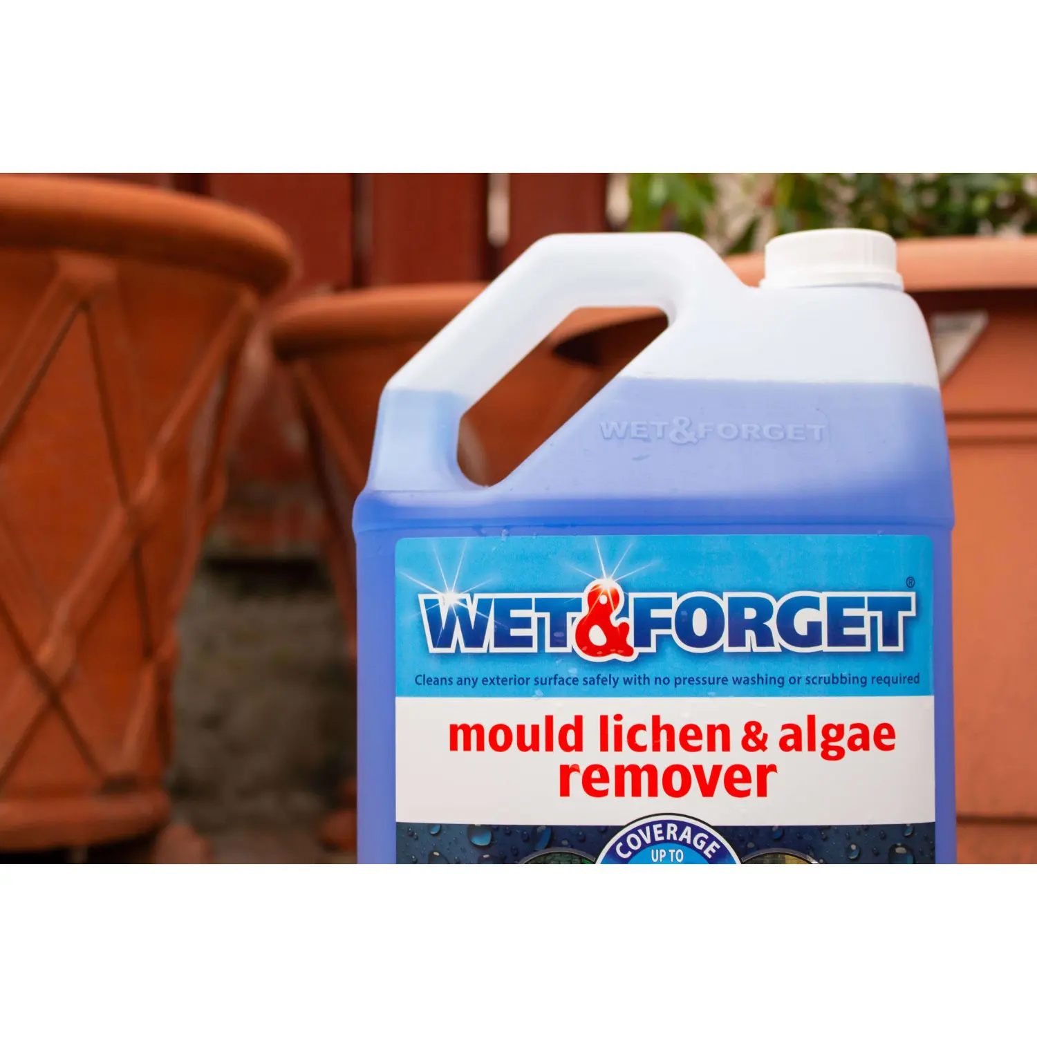 PCK0001_6 Wet & Forget Mould Lichen & Algae Remover 2L