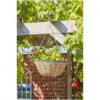 SMA0100_1 Smart Garden Hanging Basket Rattan Effect 14"