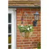 Smart Garden Hanging Basket Rattan Forester 14"