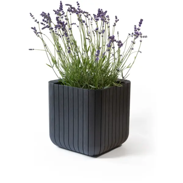 Keter Cube Planter 21.5ltr Anthracite