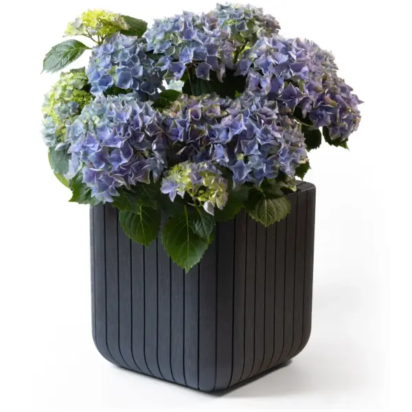Keter Cube Planter Anthracite 50.5 Litre Capacity