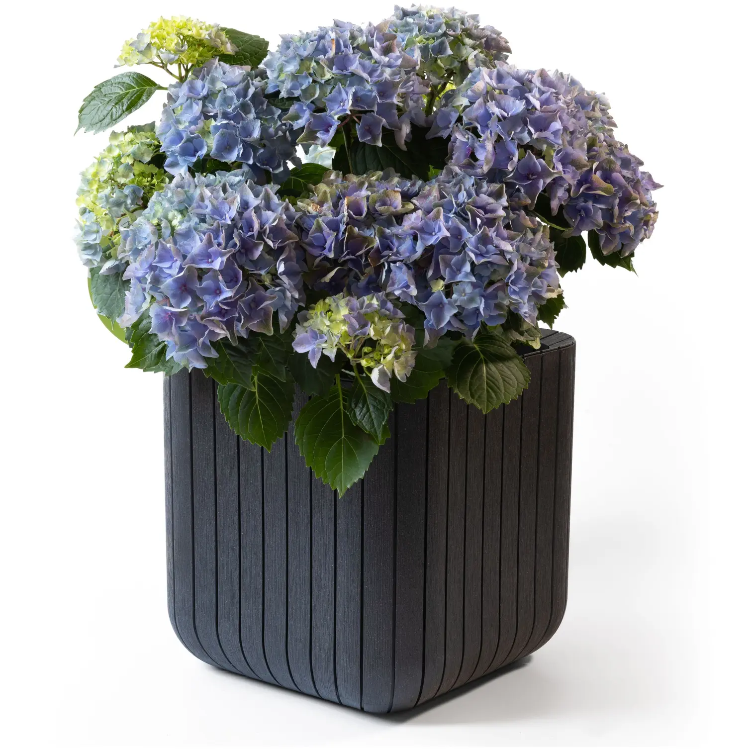 Keter Cube Planter Anthracite 50.5 Litre Capacity