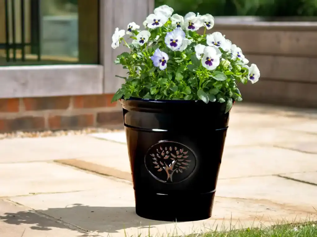 Pots & Planters