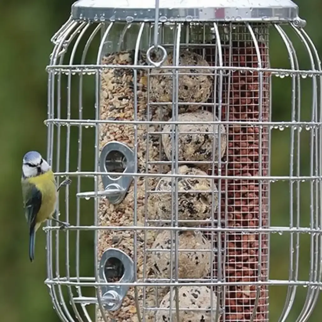 Bird Food & Feeders