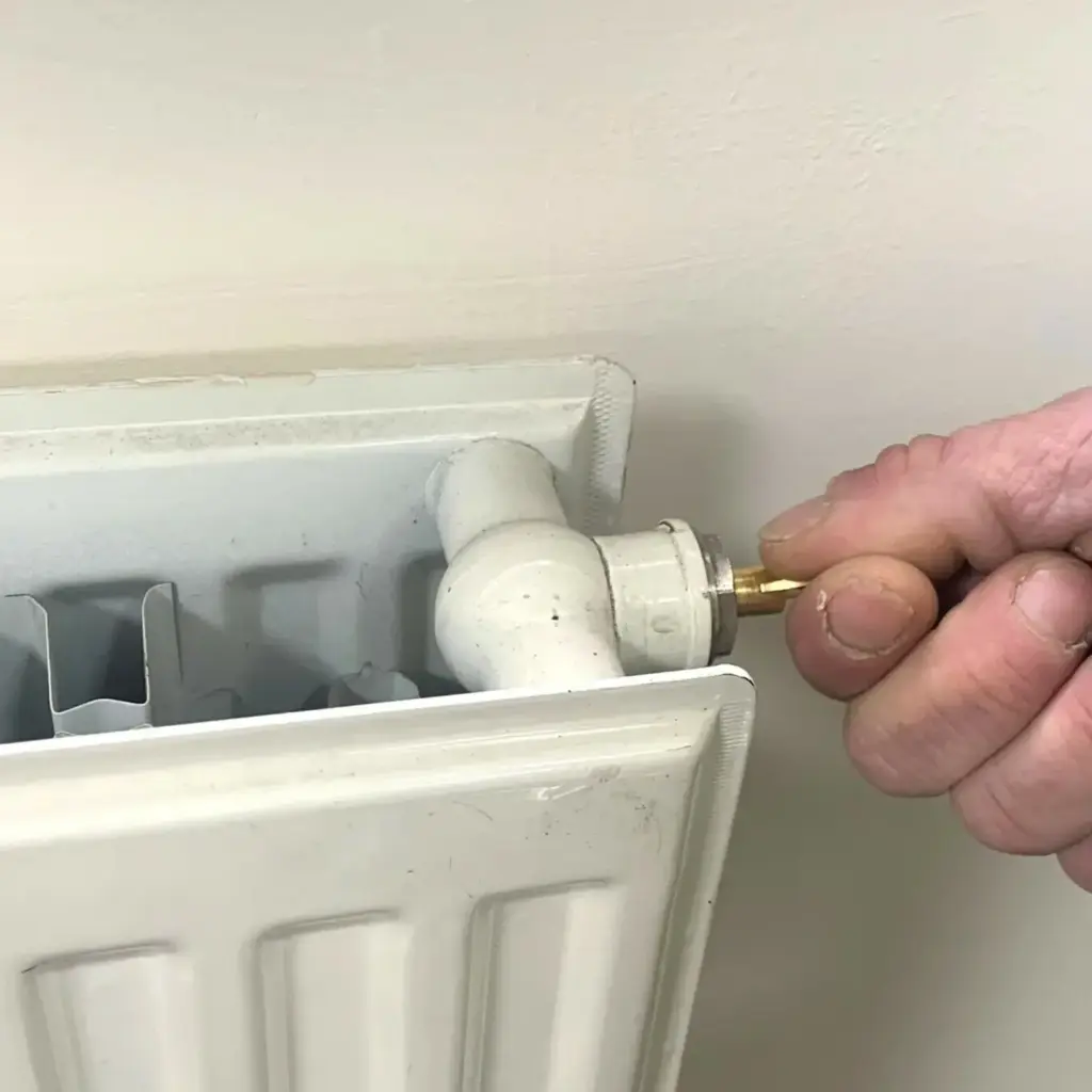 Building & Plumbing