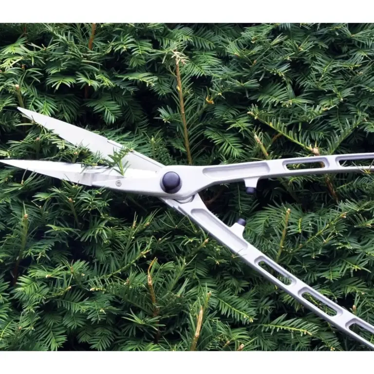 Cutting & Pruning