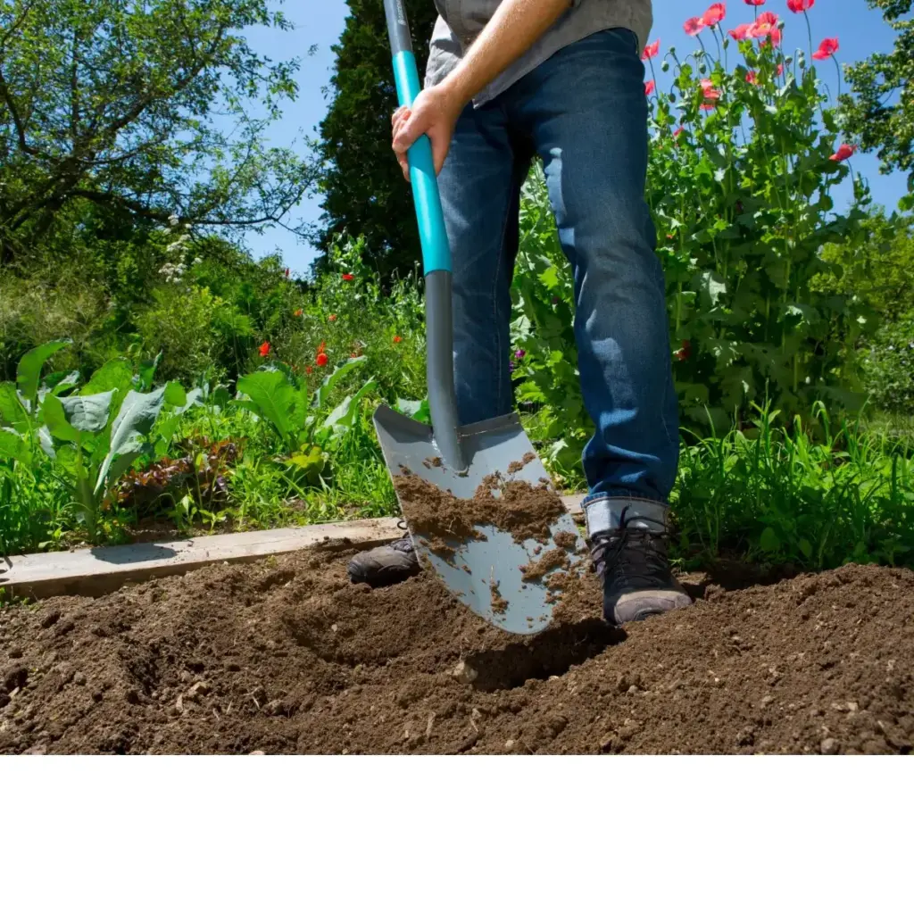 Garden Spades