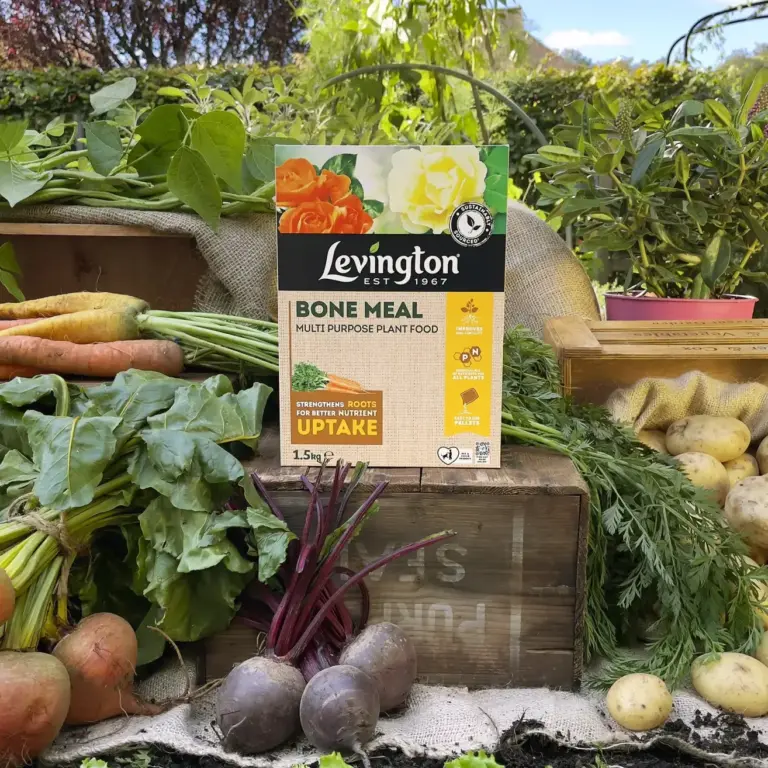 Granular General Fertilizer
