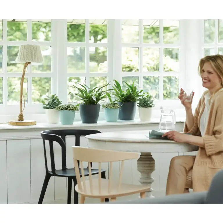 Plant Pots & Saucers
