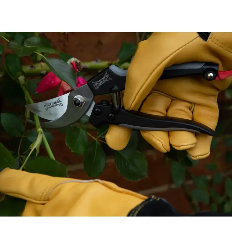 Secateurs & Pruners
