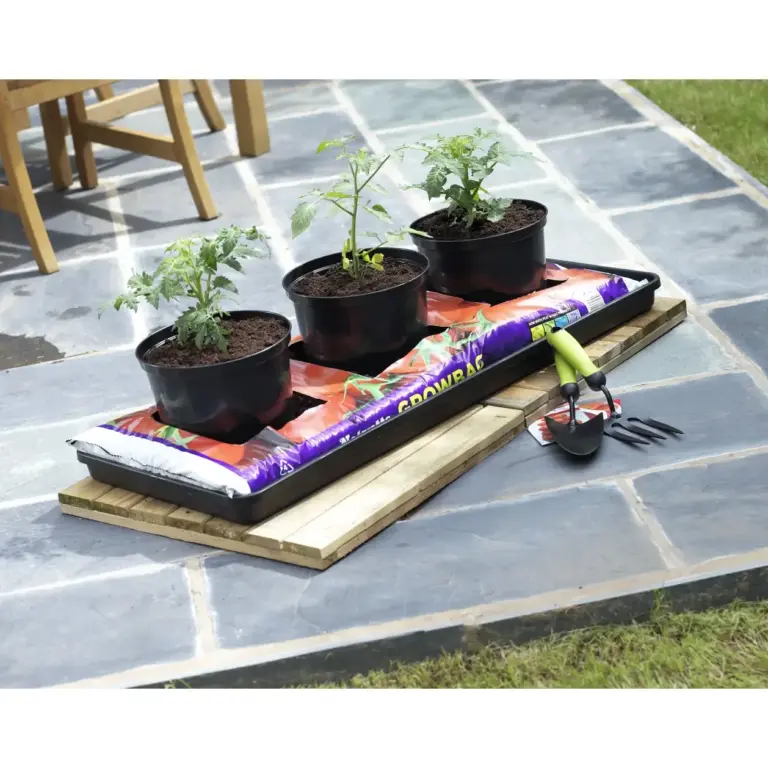 Seed Trays & Propagators
