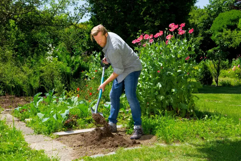 Shovels