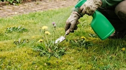 Weed Killer - Lawn