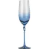 CEB0144_1 The Coast Champagne Glass
