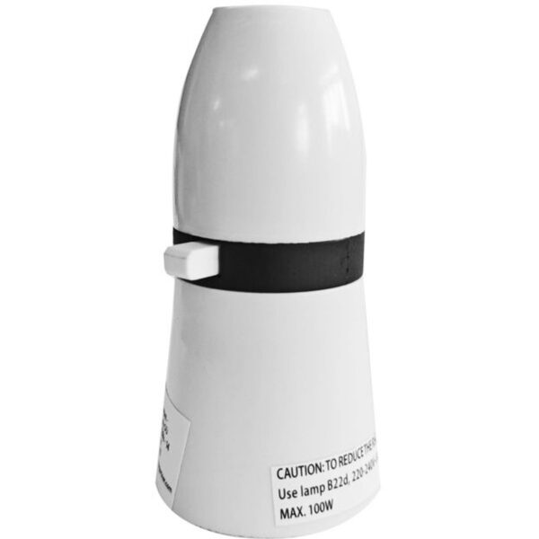 Securlec Switched Lampholder