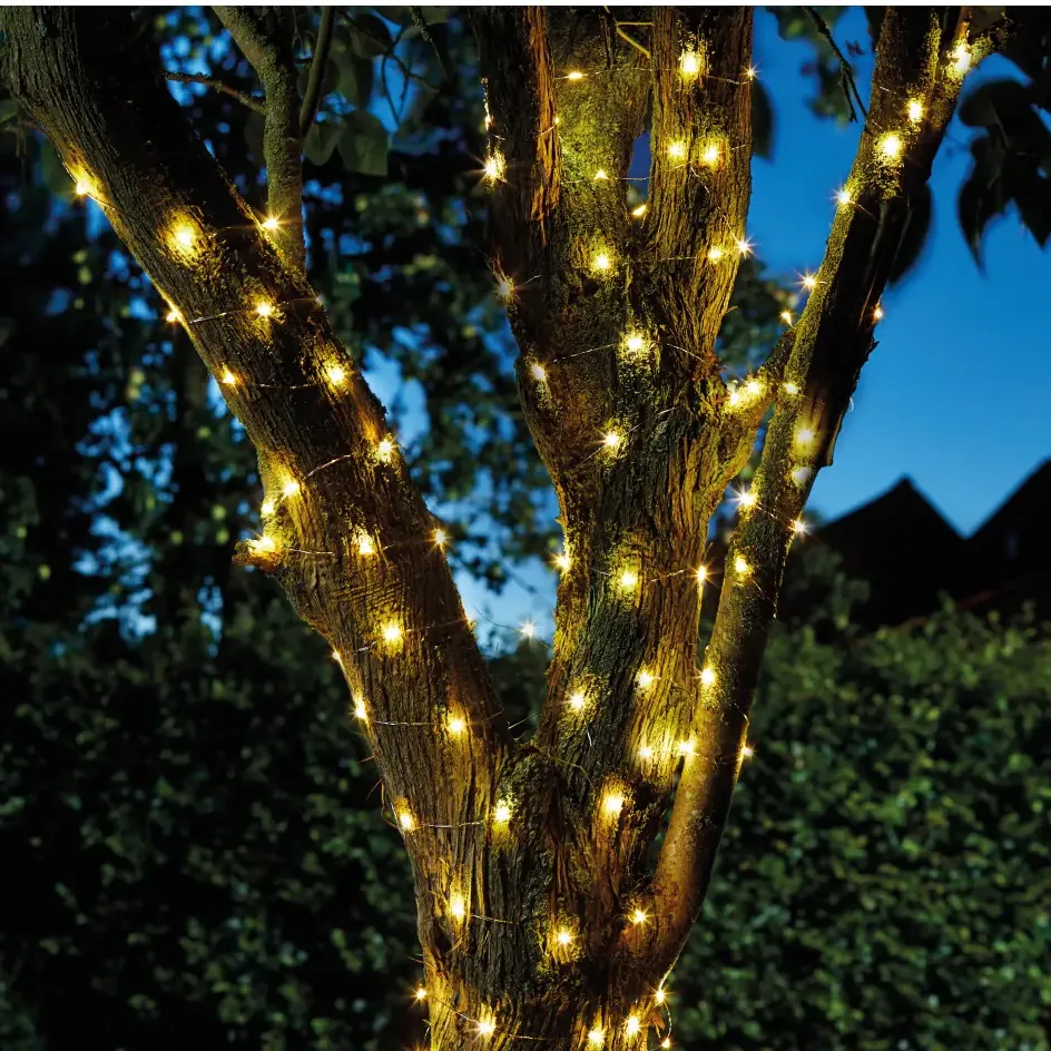String Lights