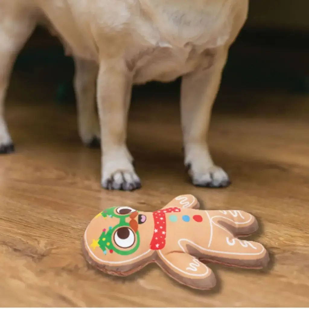 Xmas Pet Accessories